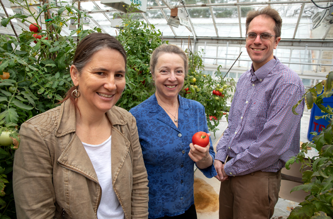 Profs. Barak, Allen, and Lankau at the King House greenhouse