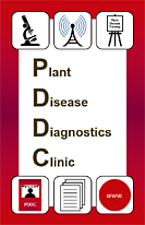 PDDC Logo