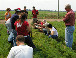 In the Field