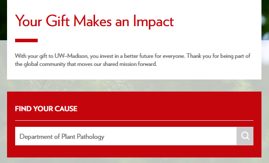 Your Gift Makes an Impact (Choose a Fund)